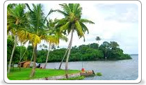 Kumarakom Boats