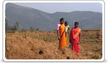 Jeypore