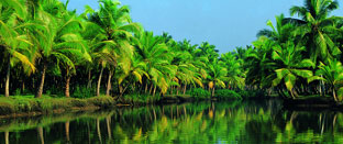 Exotic Kerala Tour 