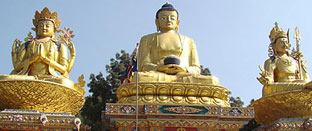 Buddhist Pilgrimage Tour