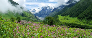 Valley of Flowers - Hemkund Sahib 